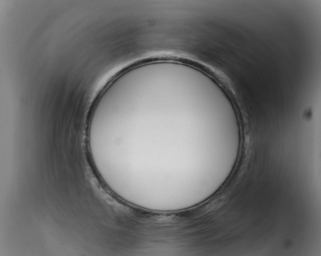 X0000116111279200911230946