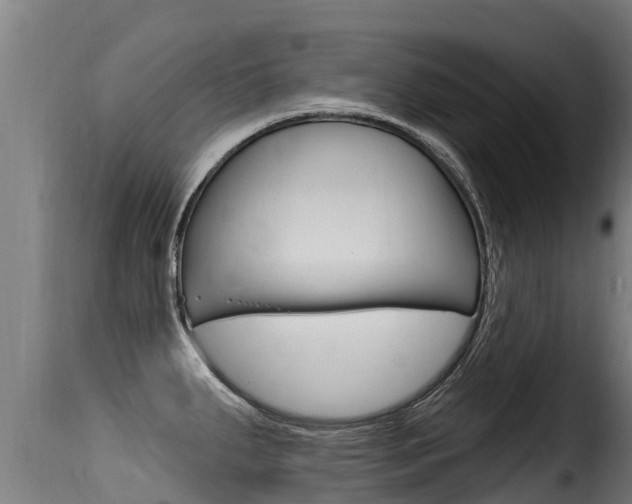 X0000116111287200911230946