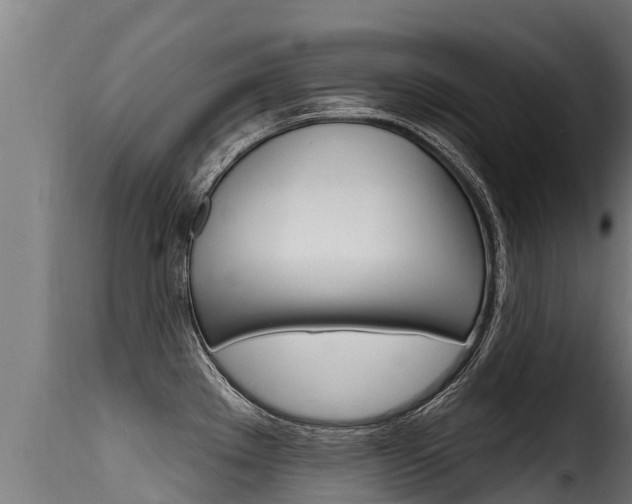 X0000116111289200911230946