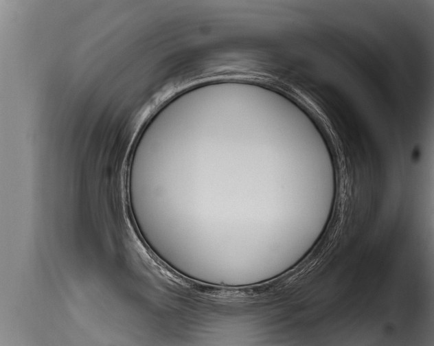 X0000116111291200911230946
