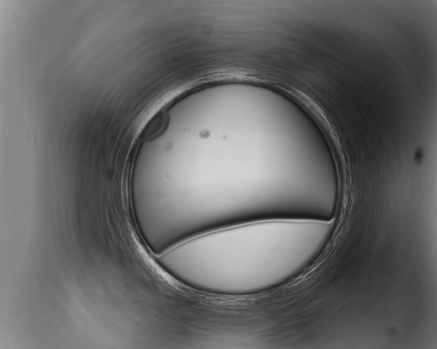 X0000116111293200911230946