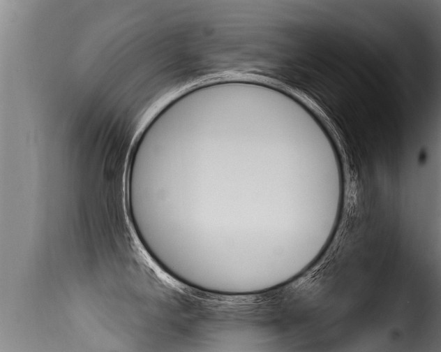 X0000116111294200911230946