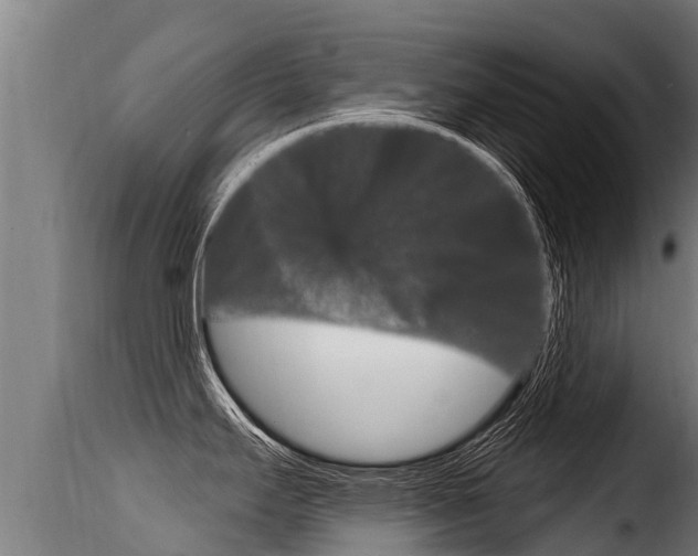 X0000116111295200911230946