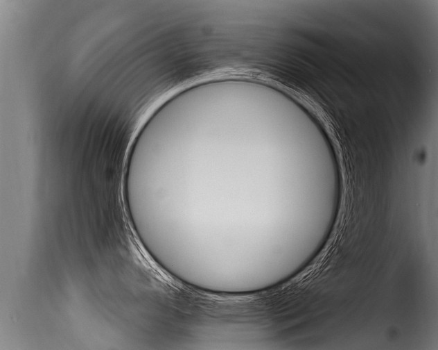 X0000116111296200911230946