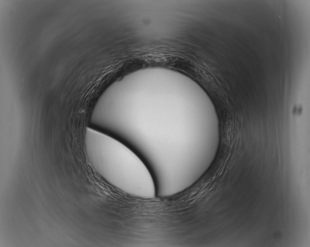 X0000116111297200911230945