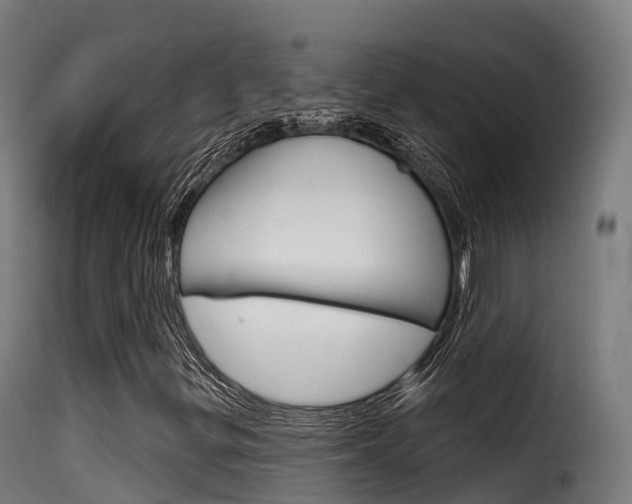 X0000116111299200911230945