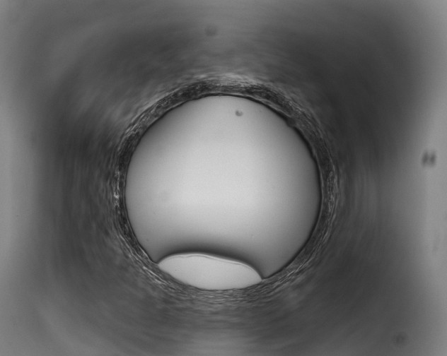 X0000116111301200911230945