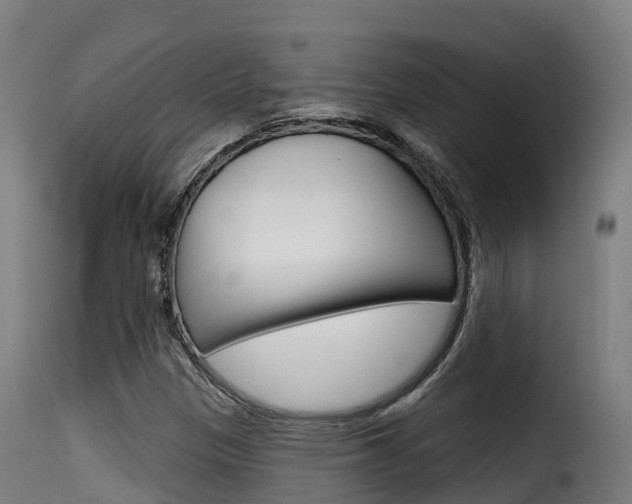 X0000116111305200911230945