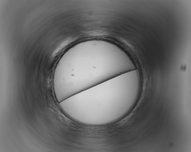 X0000116111306200911230945