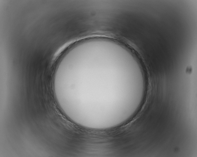 X0000116111310200911230945