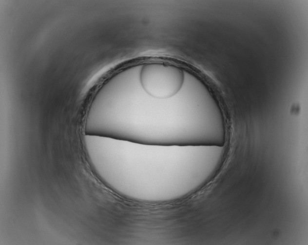X0000116111311200911230945