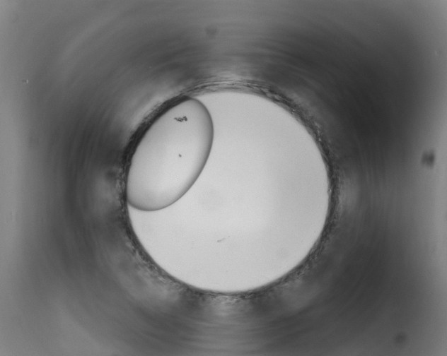X0000116111314200911230945