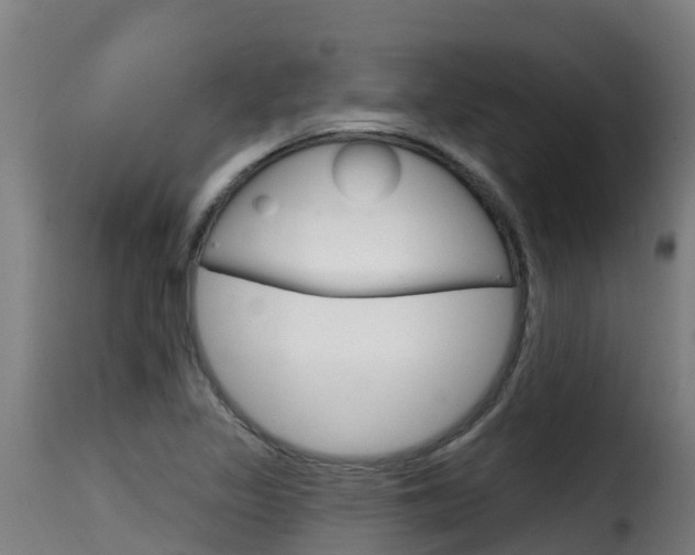 X0000116111317200911230945