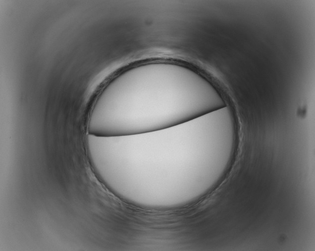 X0000116111318200911230945