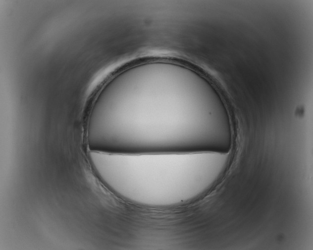 X0000116111319200911230945