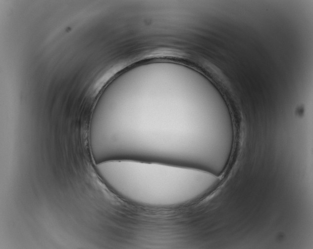 X0000116111321200911230945