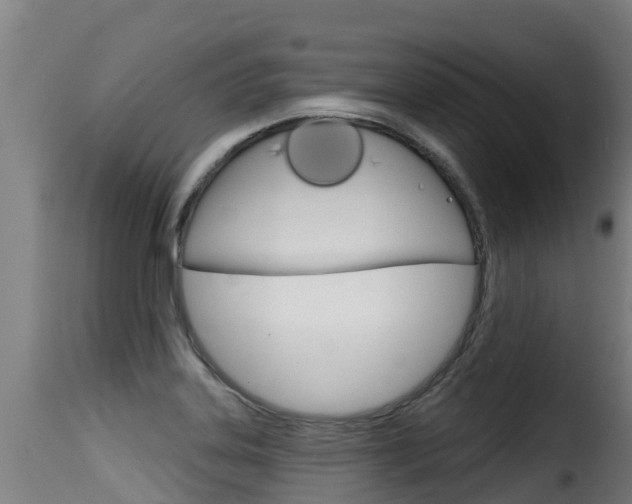 X0000116111323200911230945