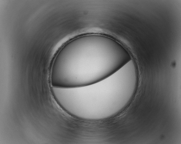 X0000116111326200911230945