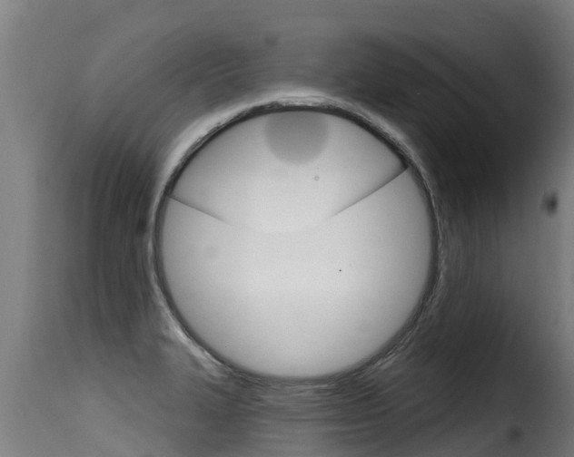 X0000116111327200911230946