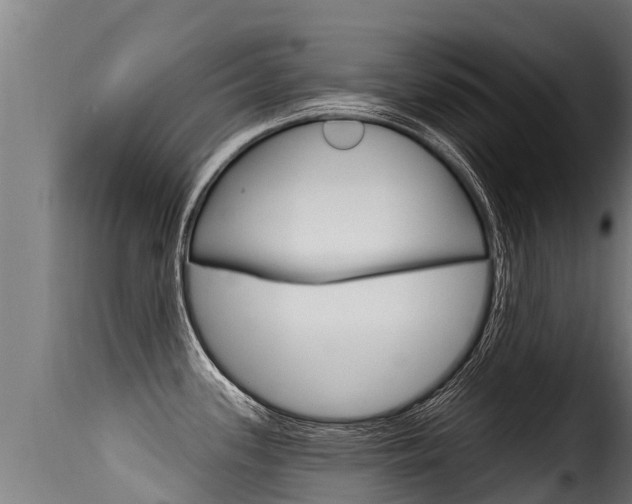 X0000116111339200911230946