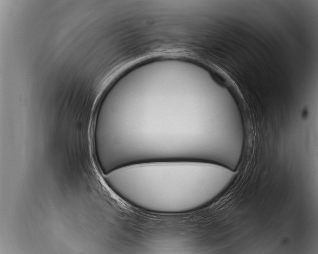 X0000116111343200911230946