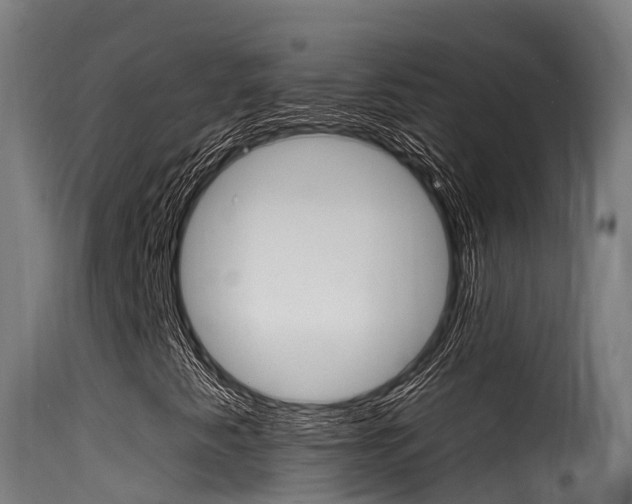 X0000116111345200911230945