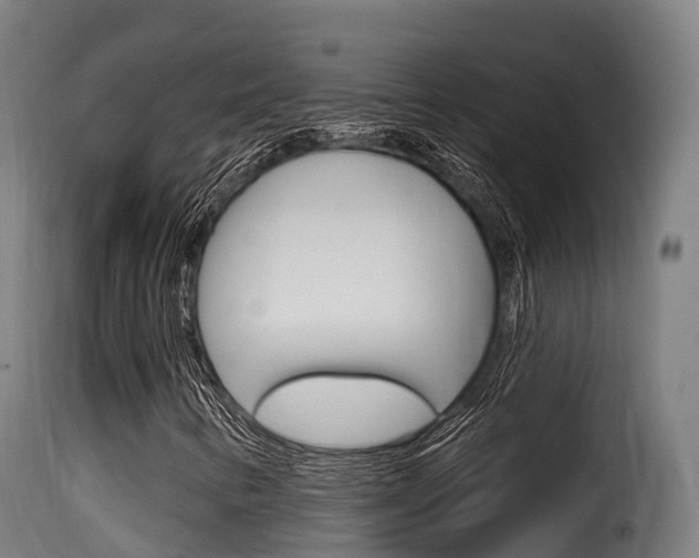 X0000116111346200911230945