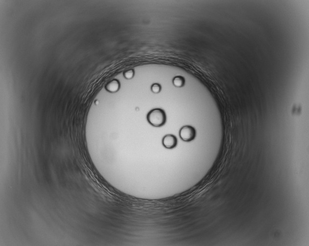 X0000116111348200911230945