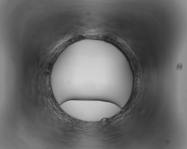 X0000116111350200911230945