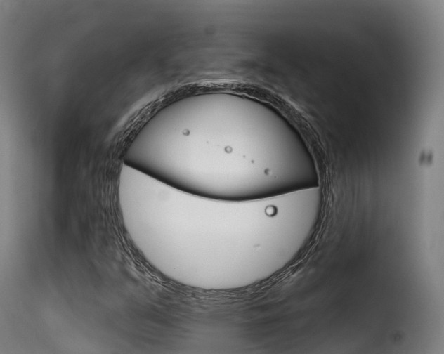 X0000116111351200911230945