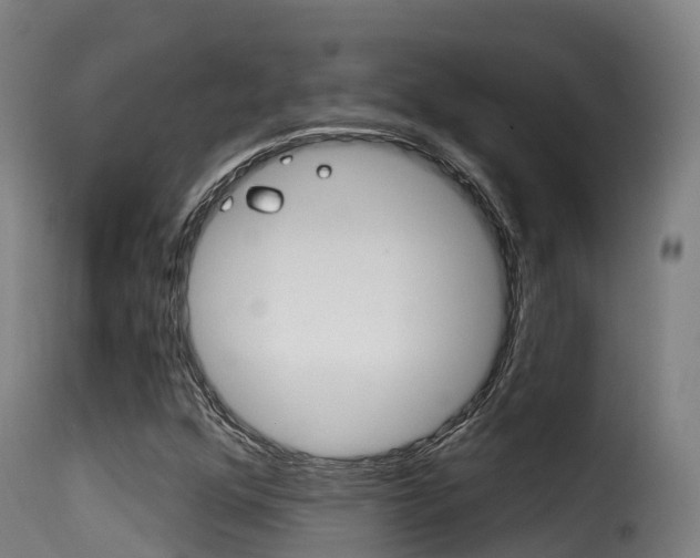 X0000116111352200911230945