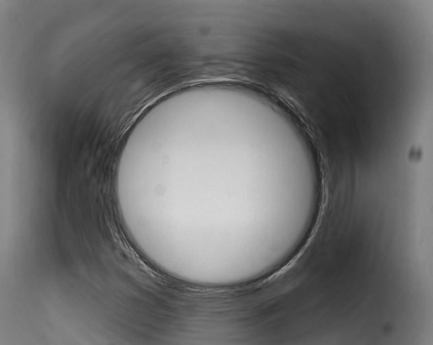 X0000116111353200911230945
