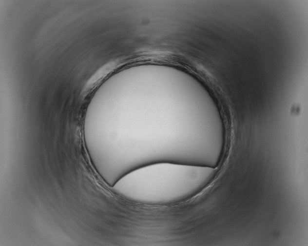 X0000116111354200911230945