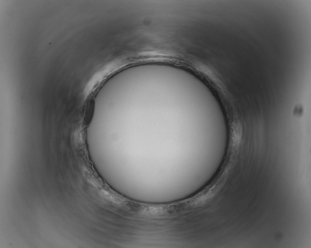 X0000116111357200911230945