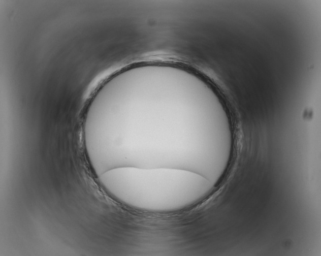X0000116111358200911230945