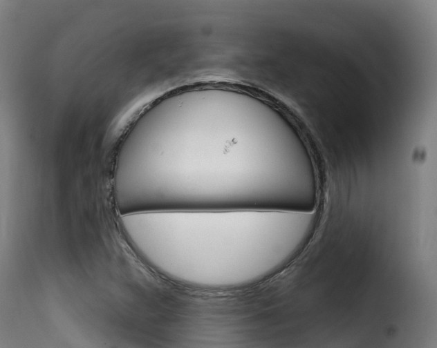 X0000116111359200911230945