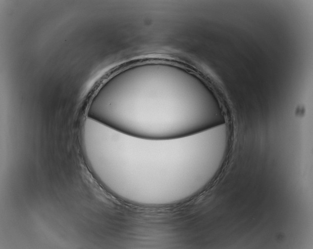 X0000116111360200911230945