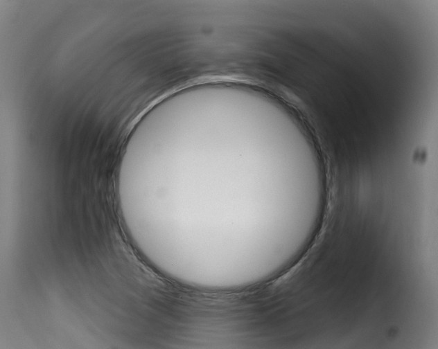 X0000116111361200911230945