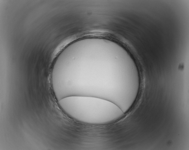 X0000116111362200911230945