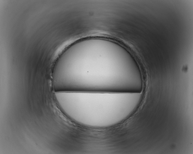 X0000116111363200911230945