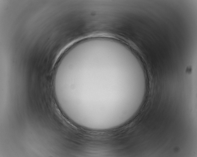 X0000116111364200911230945