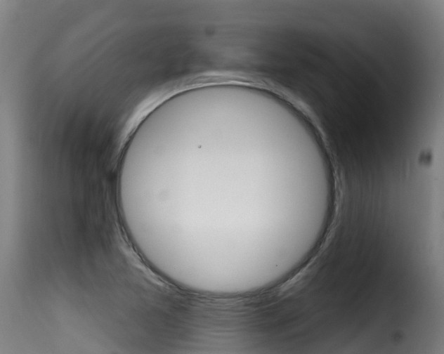 X0000116111365200911230945