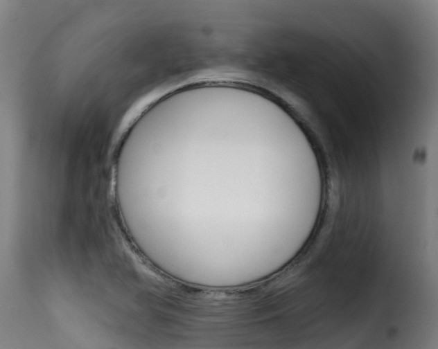 X0000116111366200911230945