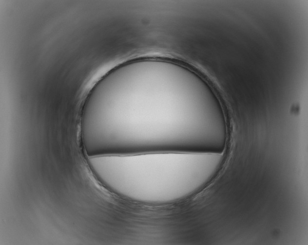 X0000116111367200911230945