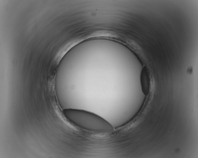 X0000116111369200911230945
