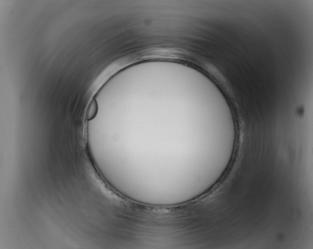 X0000116111370200911230945