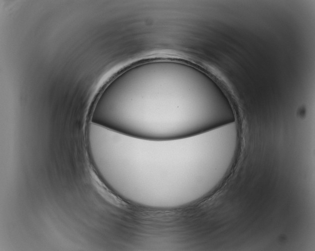X0000116111372200911230945