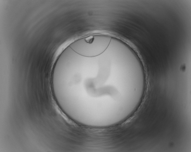 X0000116111373200911230945