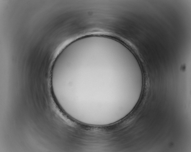 X0000116111375200911230945