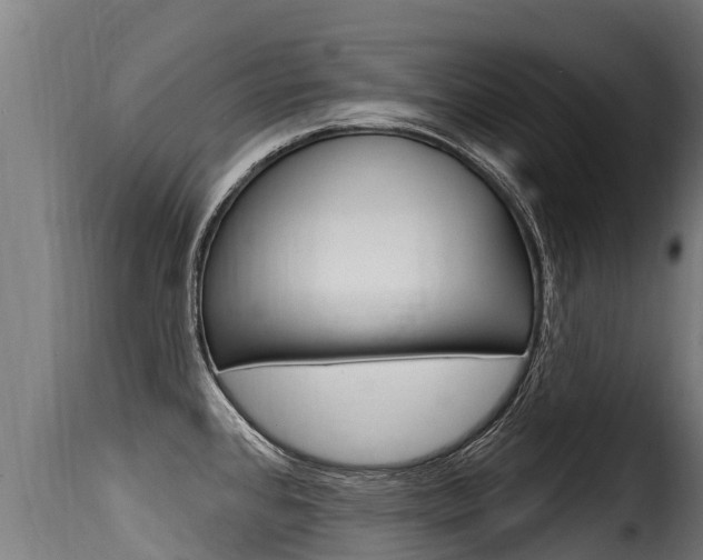X0000116111384200911230945
